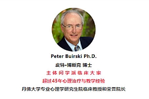 Peter Buirski-主体间心理治疗理论与个案演示12讲
