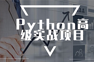 进阶实战 Python高级实战项目完整版