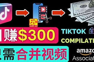 搬运Tiktok短视频到Youtube赚钱，只需下载，合并视频，日赚300美元            搬运Tiktok短视频到Youtube赚钱，只需下载，合并视频，日赚300美元