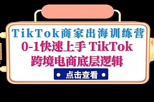 TikTok商家出海训练营：0-1快速上手 TikTok跨境电商底层逻辑