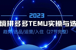 2023跨境·拼多多·TEMU实操与选品，趋势·选品·运营·入住（27节完整）